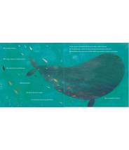 La baleine qui voulait voir la mer - RICHARD JONES - Editions Kimane