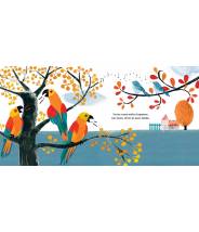 Vole, oiseau vole - CARME LEMNISCATES - Editions Kimane