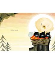 Maxou : Le petit ours au bonnet tout doux - VERN KOUSKY - Editions Kimane - livre