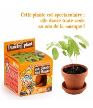 GRAINES DE PLANTE QUI DANSE...