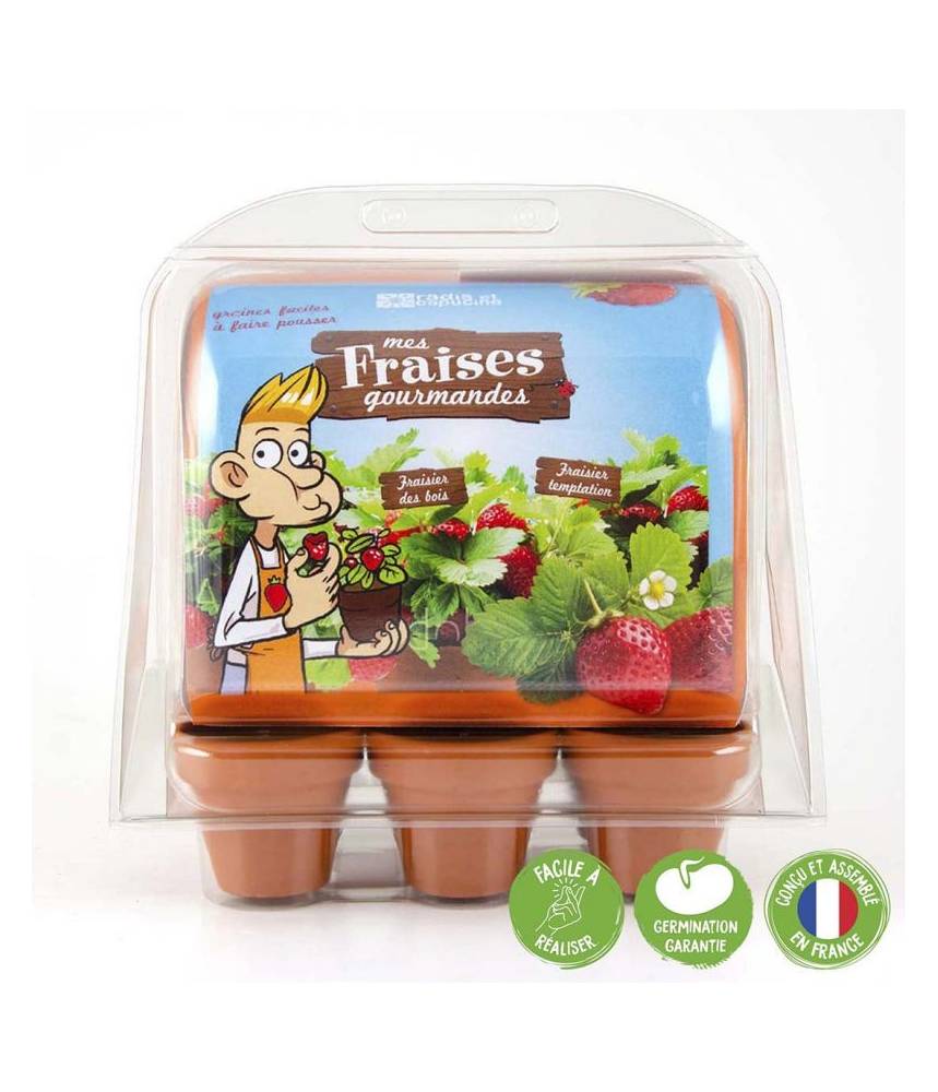 MINI-SERRE PLASTIQUE RECYCLÉ - GRAINES DE FRAISIERS - RADIS ET CAPUCINE