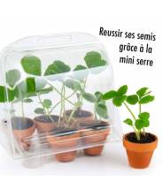 MINI-SERRE PLASTIQUE RECYCLÉ - GRAINES DE FRAISIERS - RADIS ET CAPUCINE