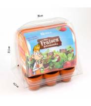 MINI-SERRE PLASTIQUE RECYCLÉ - GRAINES DE FRAISIERS - RADIS ET CAPUCINE