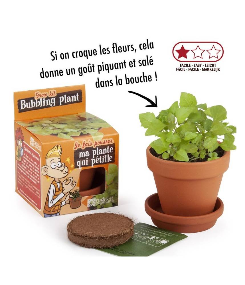 GRAINES DE PLANTE QUI PETILLE - POT 8 CM - RADIS ET CAPUCINE