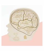 Puzzle Cerveau en 3D - Cut cut cut codet