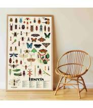 INSECTES (6-12 ANS) - Poppik Sticker Discovery