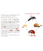 La coccinelle - Collection Le jardin de Juliette et Joséphine - Les petits zécolos