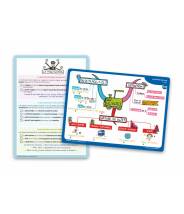 Cycle 3, MES LEÇONS DE FRANÇAIS EN CARTES MENTALES (CM1, CM2, 6ème)