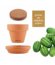 Kit de jardinage : Graines de plante qui danse - A faire pousser - Jeux et  jouets Radis et Capucine - Avenue des Jeux