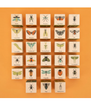 Les insectes - Cubes en...