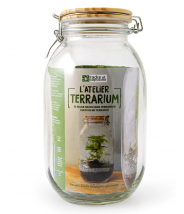 Terrarium à faire soi-même - RADIS ET CAPUCINE