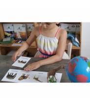 Animaux du monde (Ma Montessori Box)
