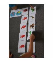 Animaux du monde (Ma Montessori Box)