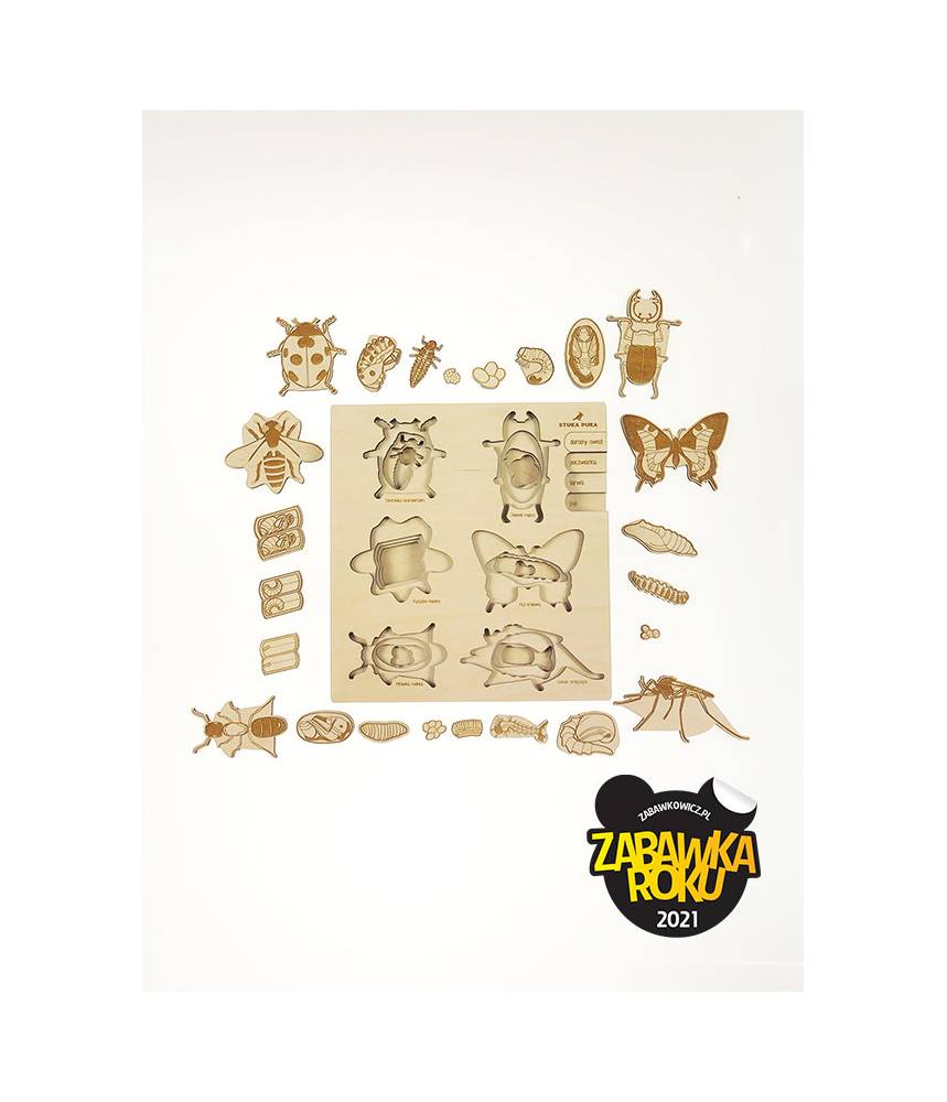 Les insectes et leur cycle de vie - Puzzle Stuka Puka