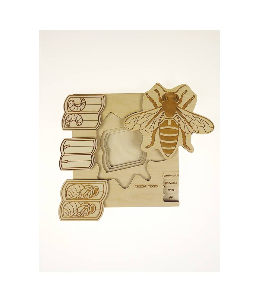 L'abeille et son cycle de vie - Puzzle Stuka Puka