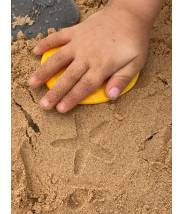 8 galets Empruntes de la mer - Let's investigate - Yellow door