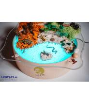 Bac d'exploration transparent pour table lumineuse ronde Jonely "magiclight"