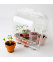 MINI-SERRE PLASTIQUE RECYCLÉ - GRAINES DE tomates - RADIS ET CAPUCINE