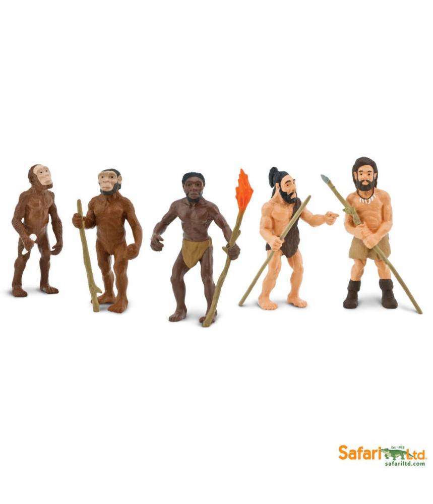 L'évolution de l'homme - Cycle de la vie Safari LTD