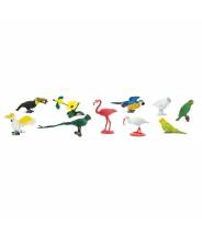 Oiseaux Exotiques - Tube Safari LTD