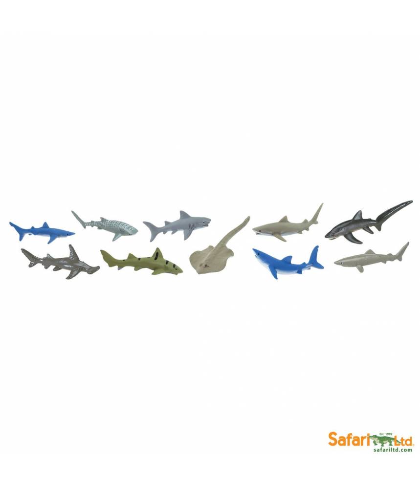 Les requins - Tube Safari LTD