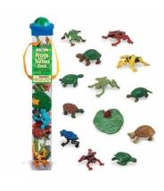 Grenouilles et tortues - Tube Safari LTD