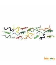 Serpents et reptiles - Tube Safari LTD