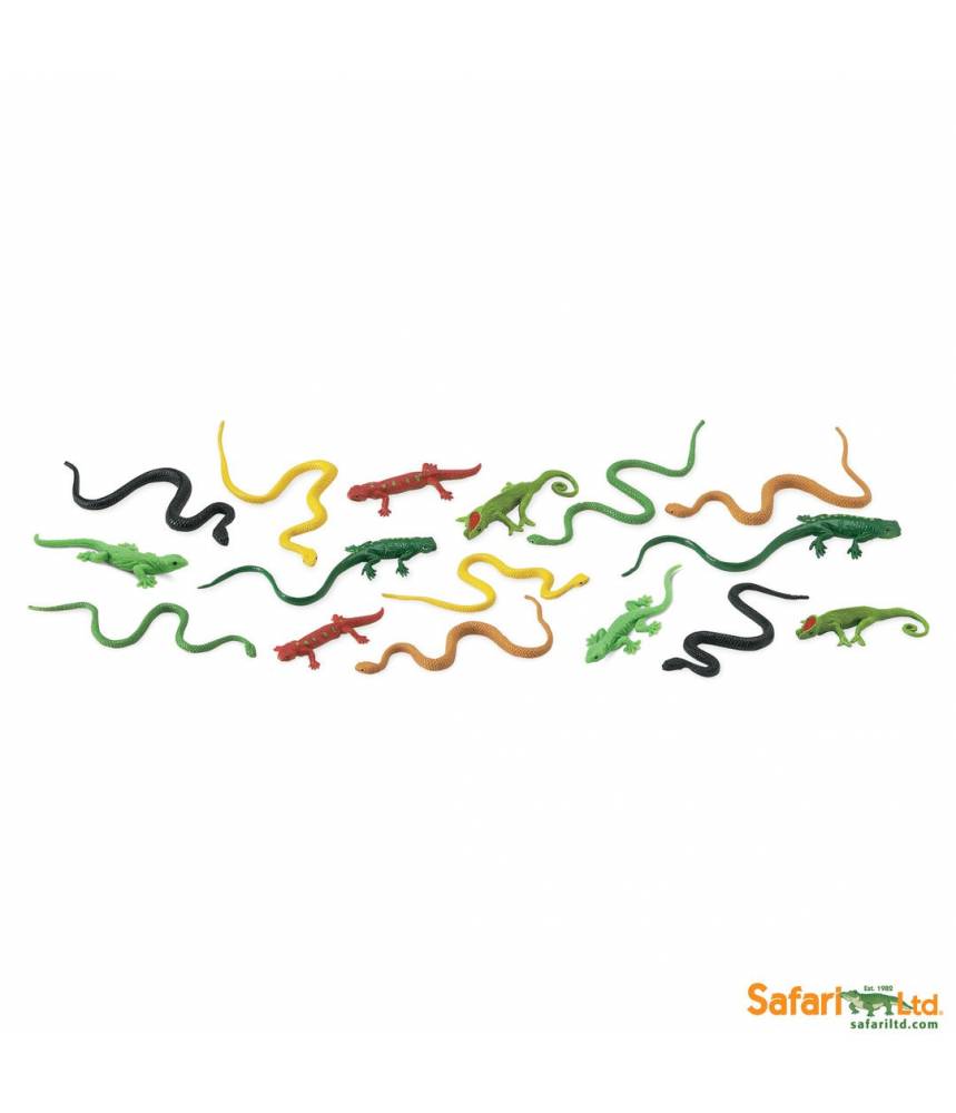 Serpents et reptiles - Tube Safari LTD