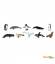 Antarctique - Tube Safari LTD
