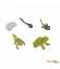 Grenouille - Cycle de la vie Safari LTD