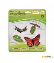 Papillon monarque - Cycle de la vie Safari LTD