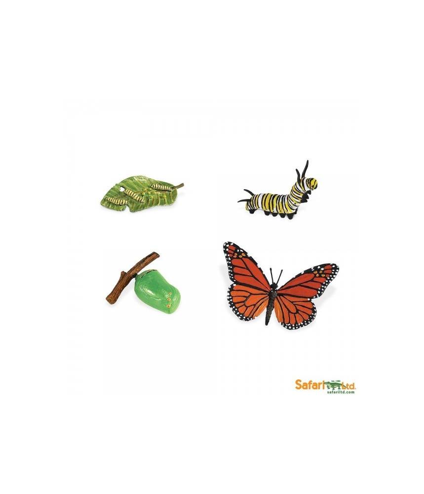 Papillon monarque - Cycle de la vie Safari LTD
