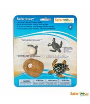 Tortue de mer - Cycle de la vie Safari LTD