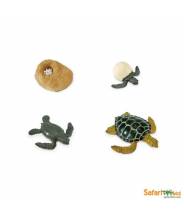 Tortue de mer - Cycle de la vie Safari LTD