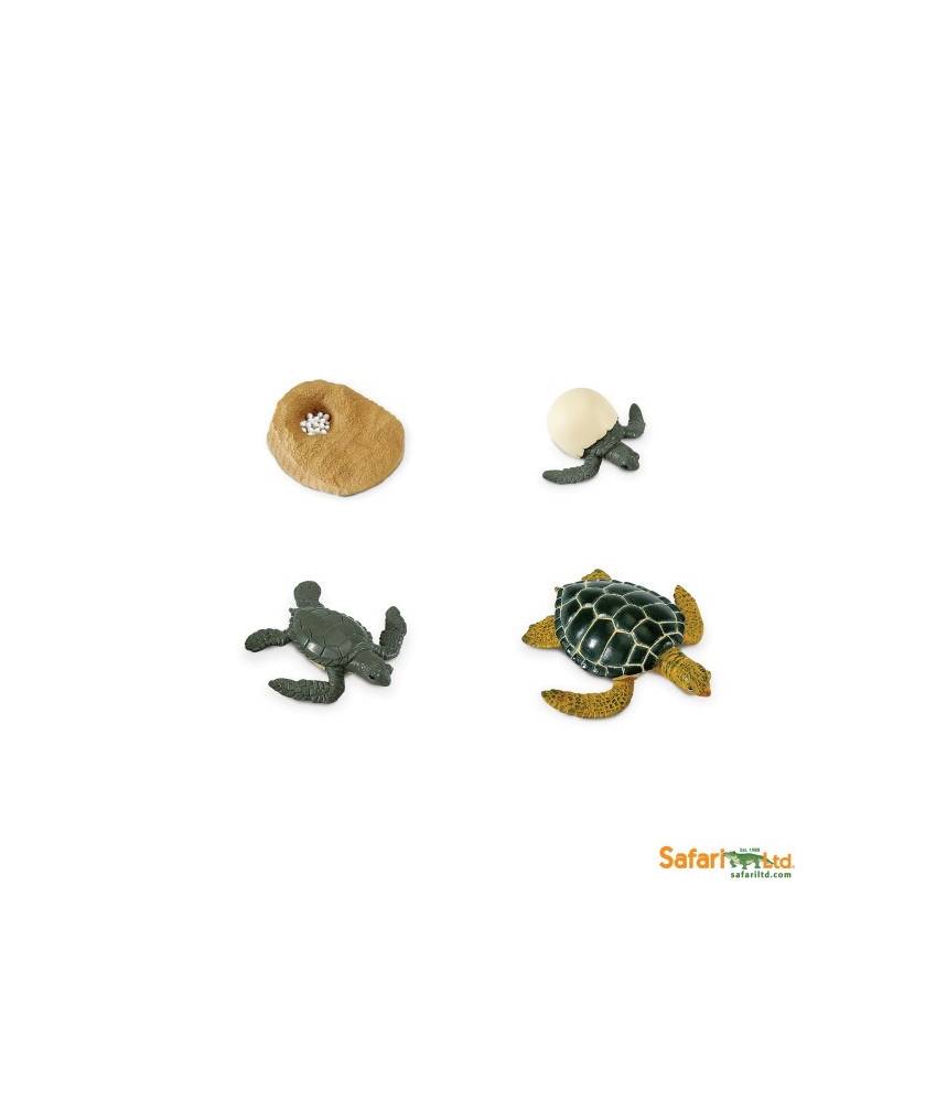 Tortue de mer - Cycle de la vie Safari LTD