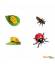 La coccinelle - Cycle de la vie Safari LTD