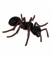 La fourmi - Cycle de la vie Safari LTD