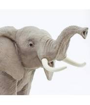 Éléphant d'Afrique XL - Safari LTD figurine à l'unité