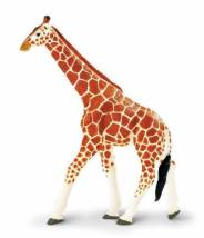 Girafe réticulée XL - Safari LTD figurine à l'unité