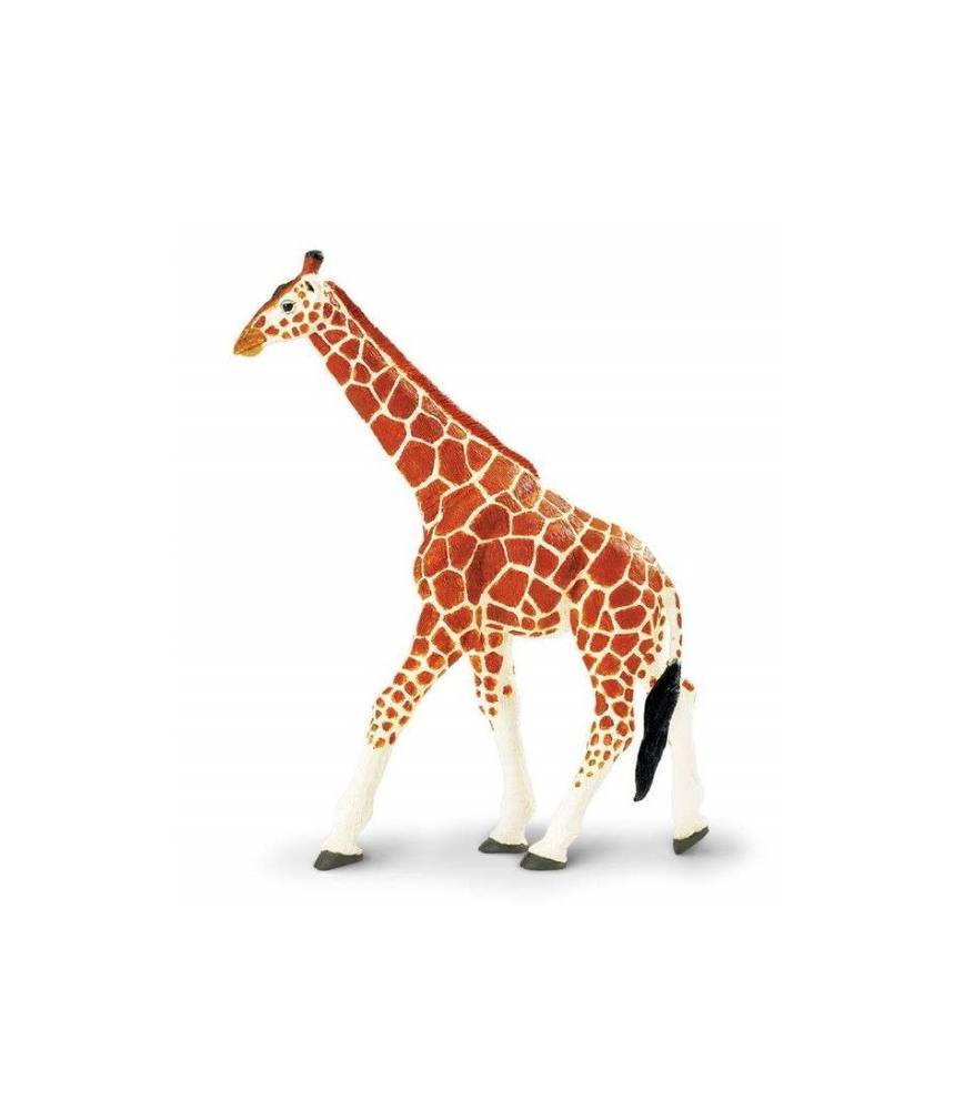 Girafe réticulée XL - Safari LTD figurine à l'unité