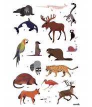 Animaux du monde - Poppik Sticker Discovery