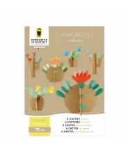 Mes cactus - Pirouette Cacahouète