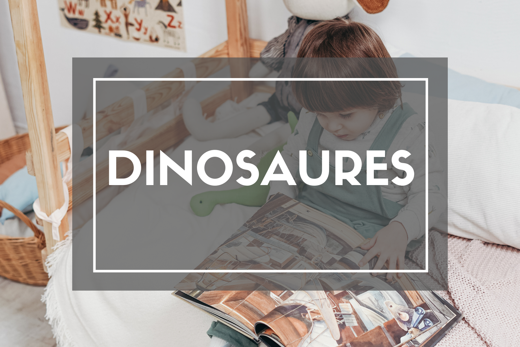 https://www.jeumeconstruis.fr/185-dinosaures