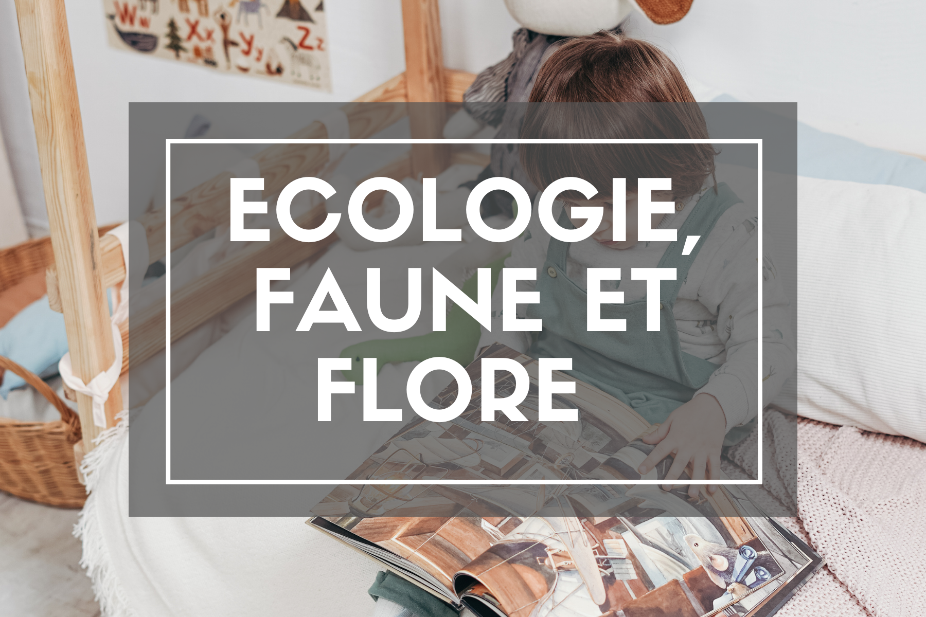 https://www.jeumeconstruis.fr/151-ecologie-faune-et-flore